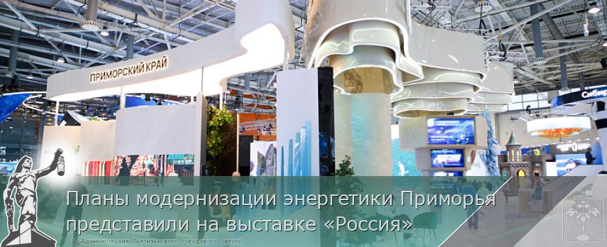 Планы модернизации энергетики Приморья представили на выставке «Россия»