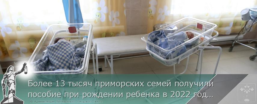 Более 13 тысяч приморских семей получили пособие при рождении ребенка в 2022 году